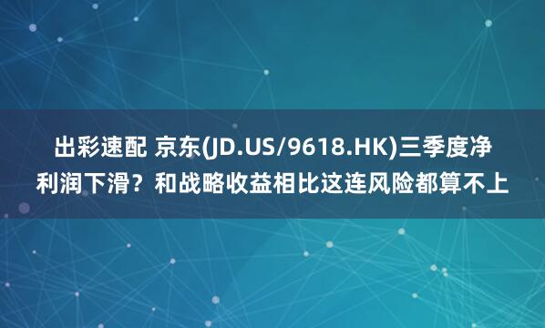 出彩速配 京东(JD.US/9618.HK)三季度净利润下滑？和战略收益相比这连风险都算不上