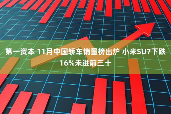 第一资本 11月中国轿车销量榜出炉 小米SU7下跌16%未进前三十