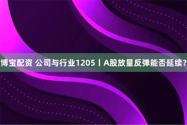 博宝配资 公司与行业1205丨A股放量反弹能否延续？